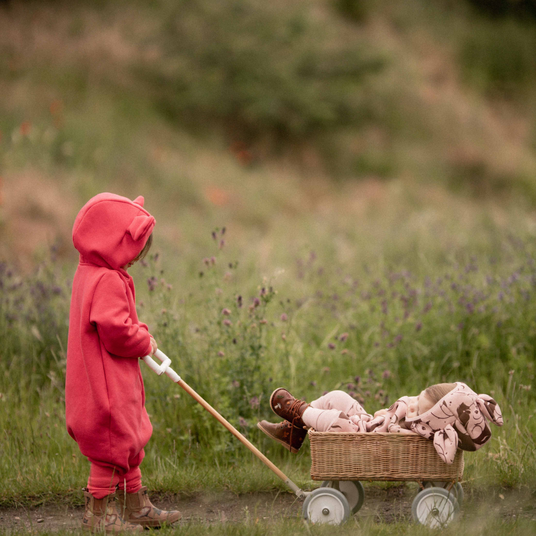 Heilgalli með eyrum - Squirrel on Pink