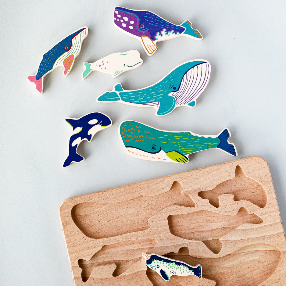 Whale Family Sorter Trépúsl