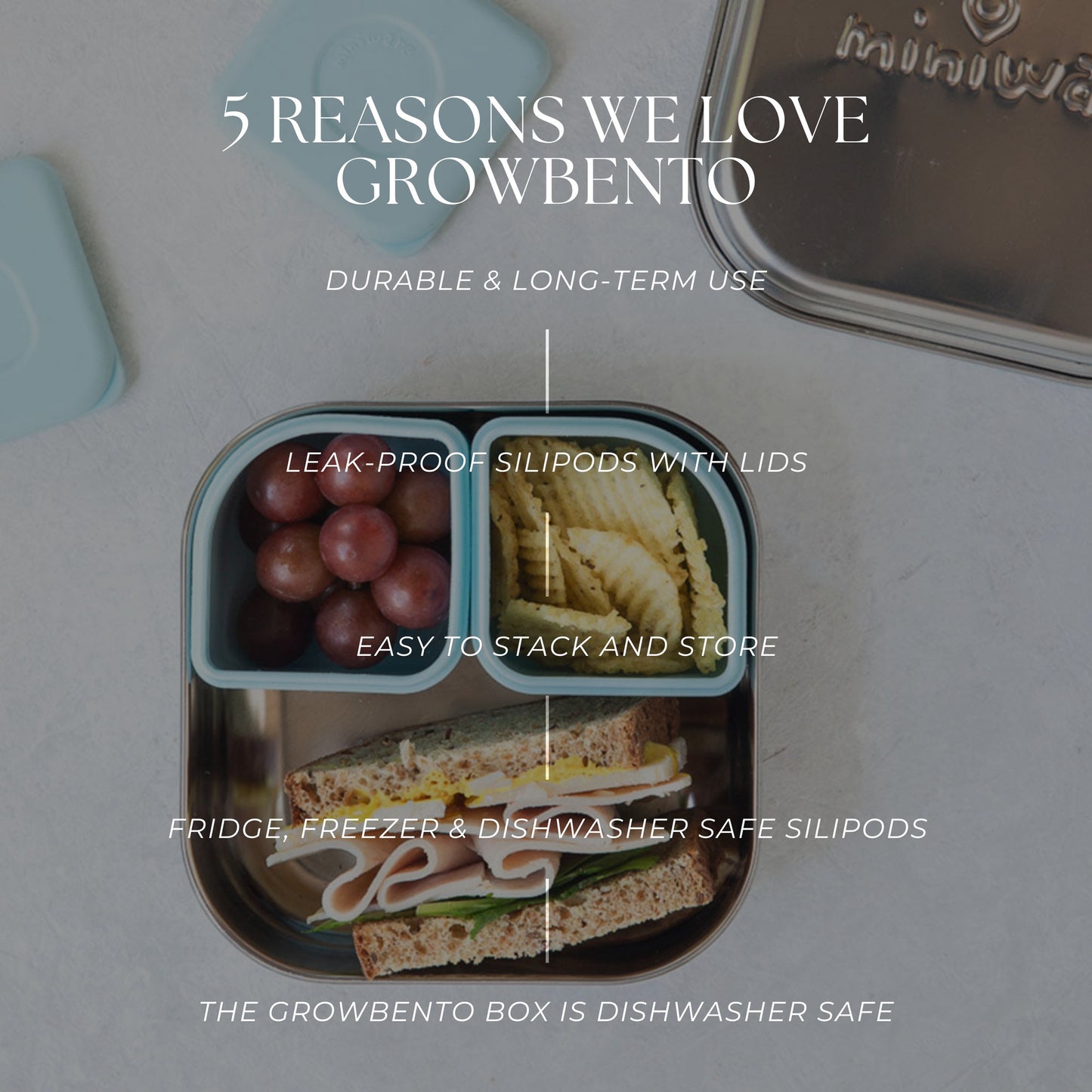 GrowBento Lunch Set (Snow/Aqua)