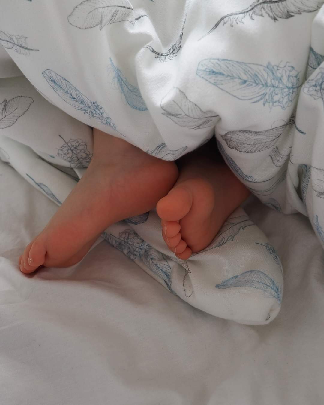 Sæng og koddi Sett úr bambus - Safari