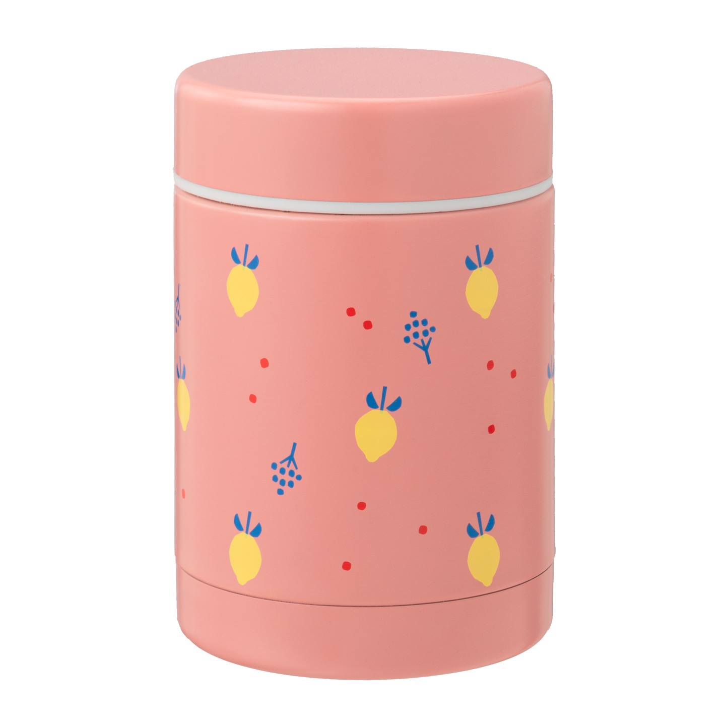 Thermos Food Jar - Summer Fruit 300ml