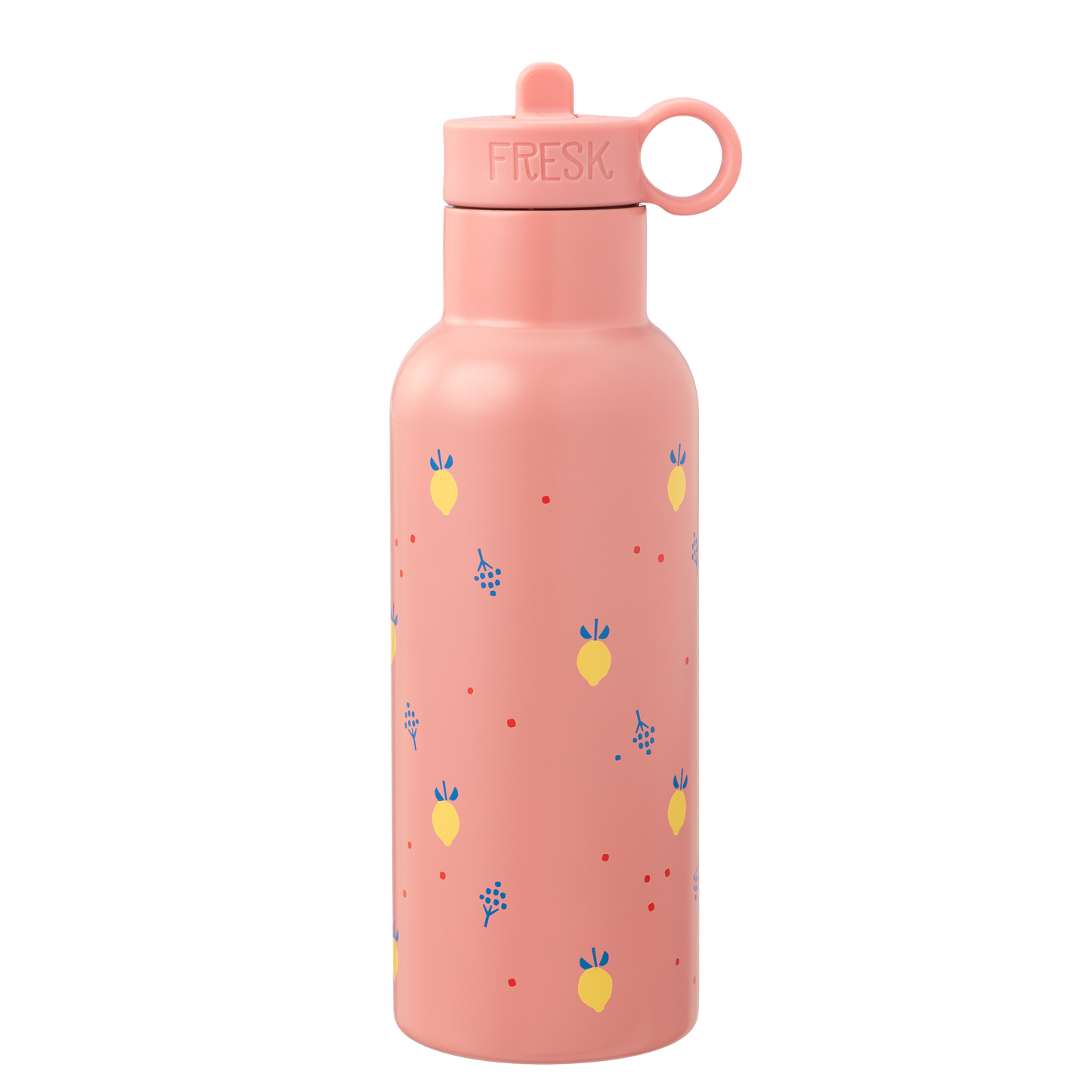 Vatnsbrúsi úr stáli með röri - Summer Fruit 500ml