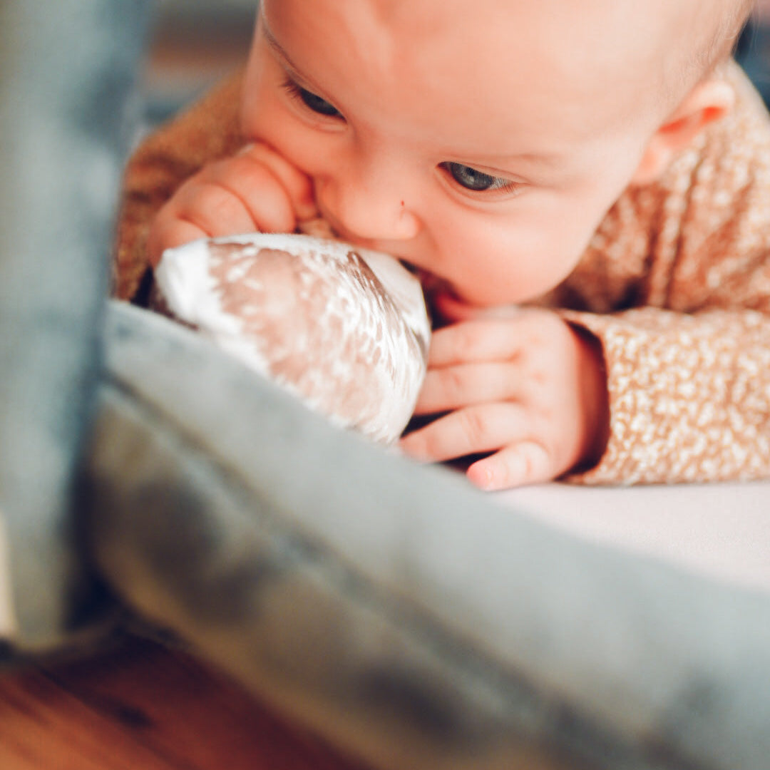 Leikteppi - Animals Garden