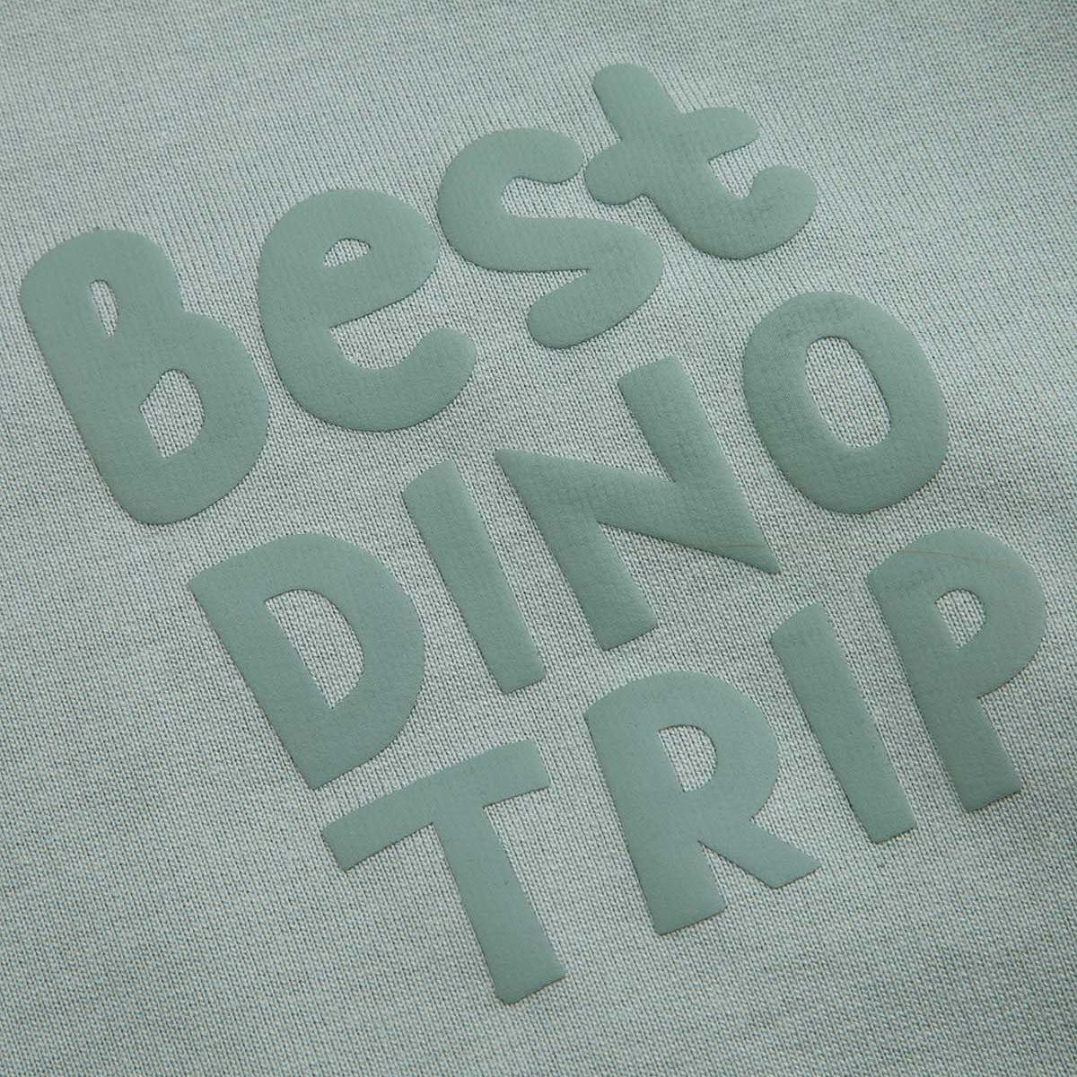 Rennd Peysa - Green Best Dino Trip