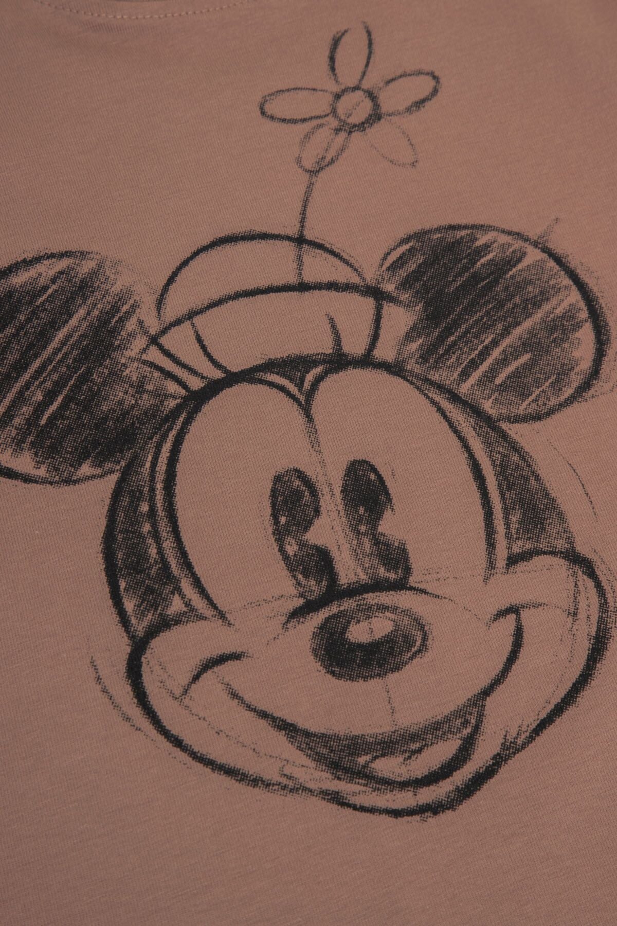 Langermabolur - Brown Mickey Mouse license