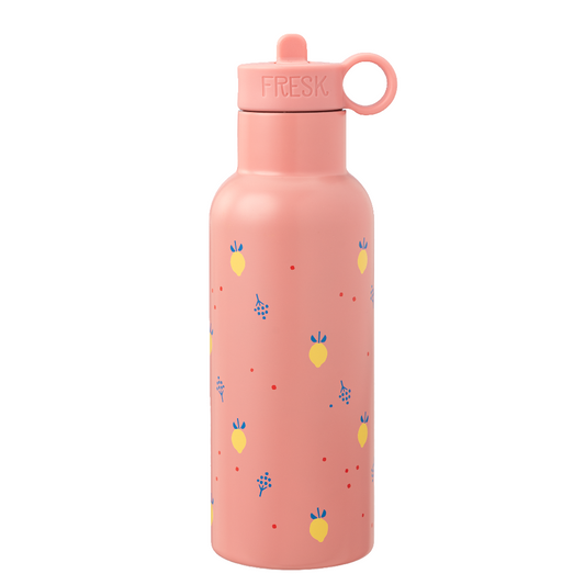 Vatnsbrúsi úr stáli með röri - Summer Fruit 500ml