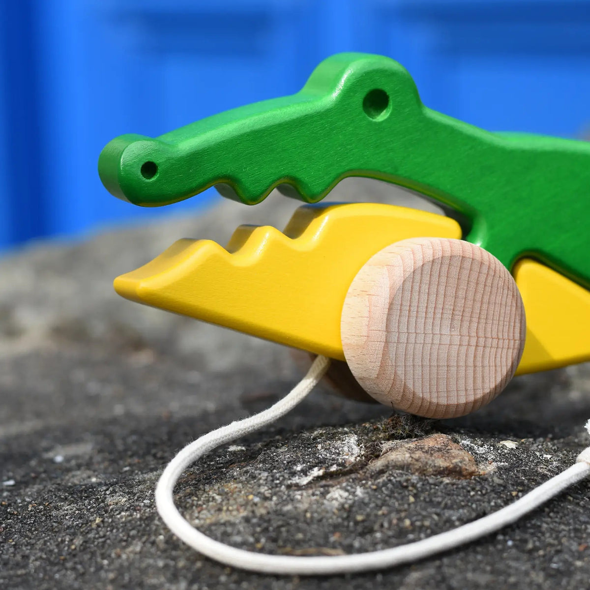 Crocodile on Wheels