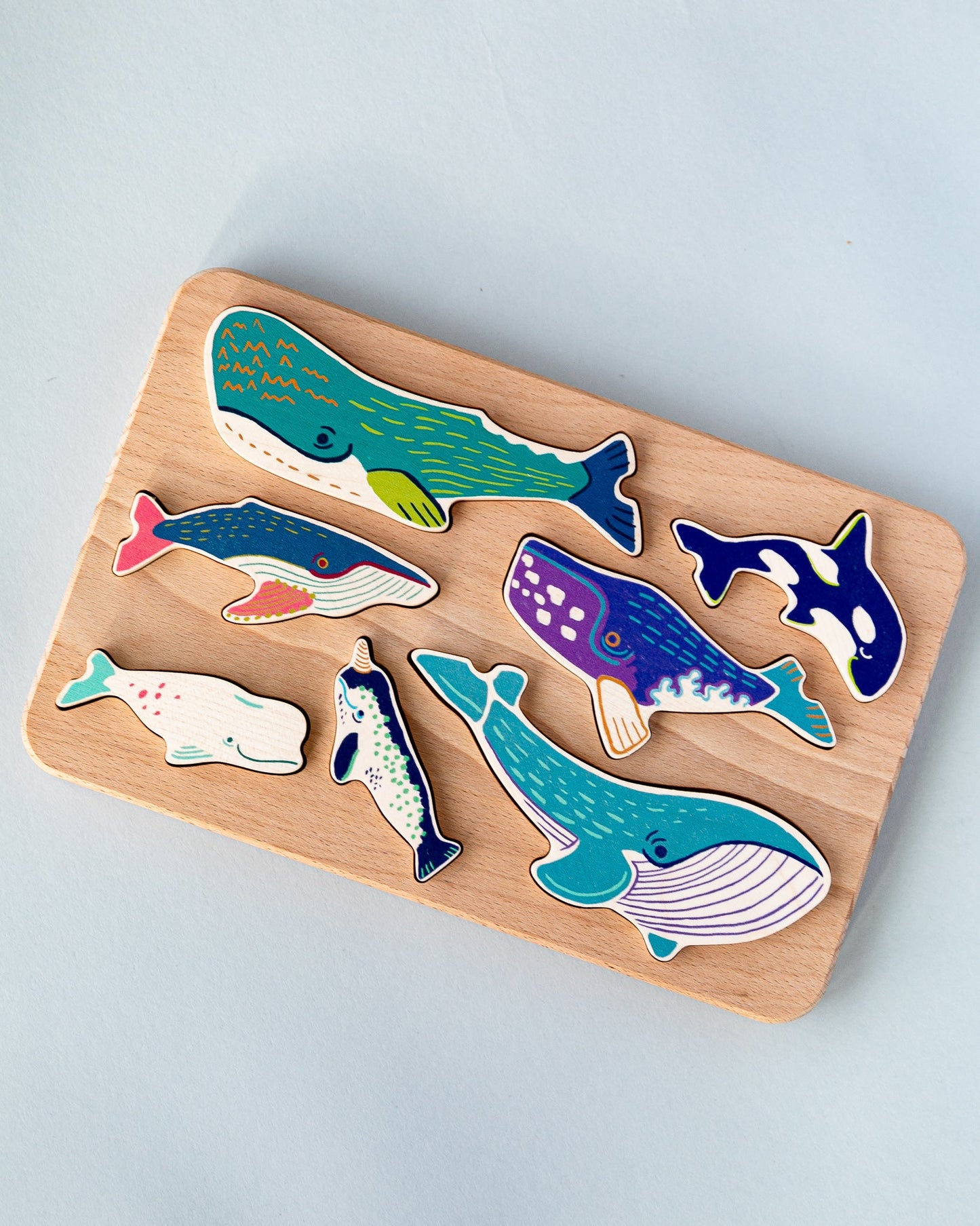 Whale Family Sorter Trépúsl