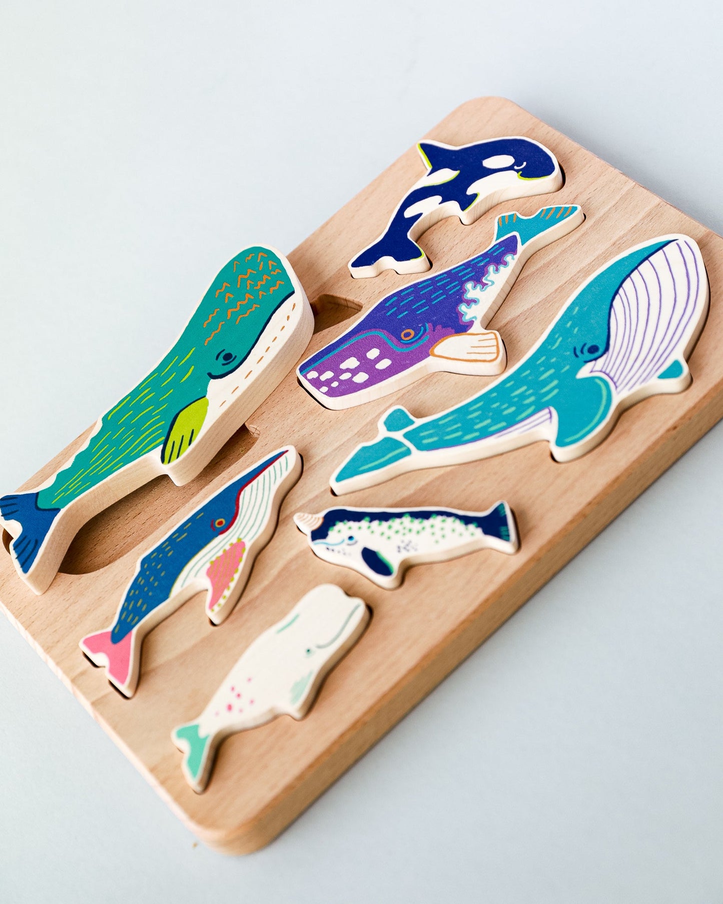 Whale Family Sorter Trépúsl