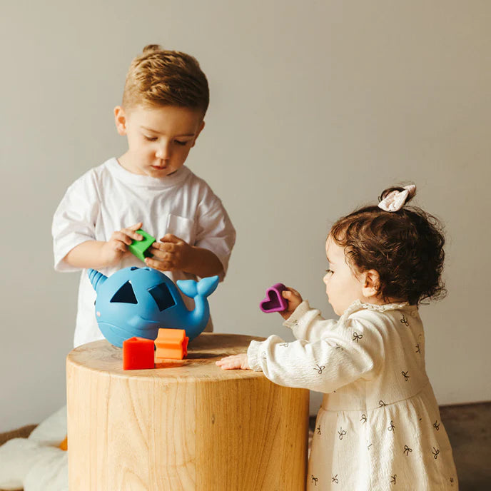Narwhal - Silicone Shape Sorter