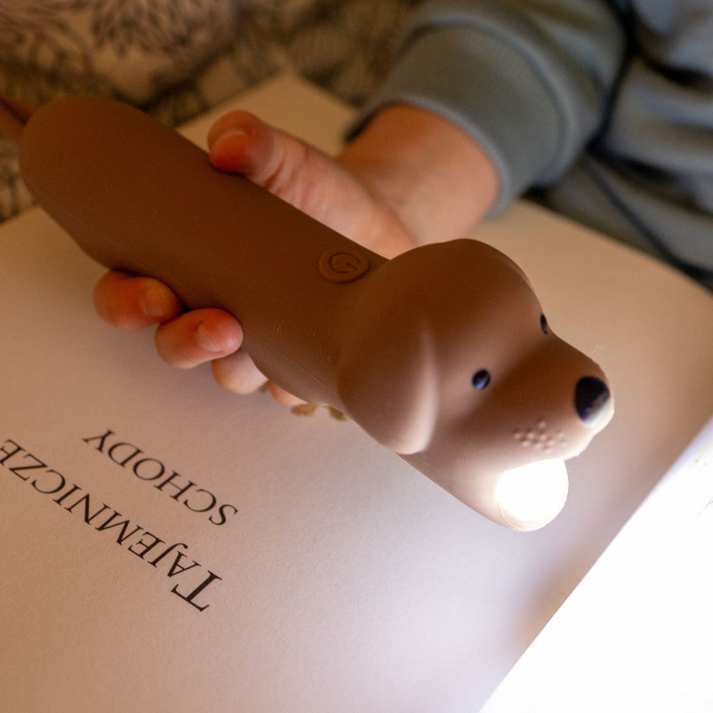 Silicone Torch USB Rechargable - Buddy