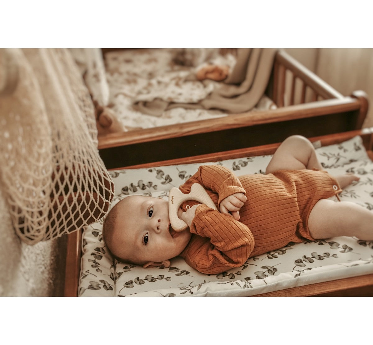 Skiptidýna - Nature