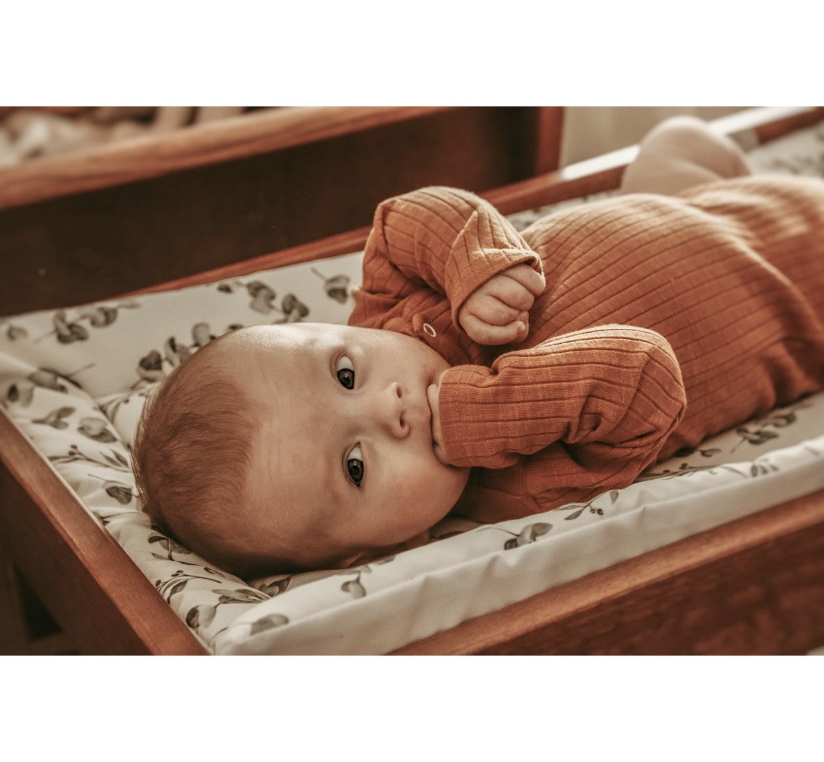 Skiptidýna - Animals Garden