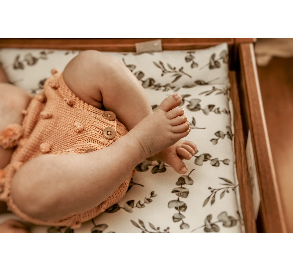 Skiptidýna - Animals Garden