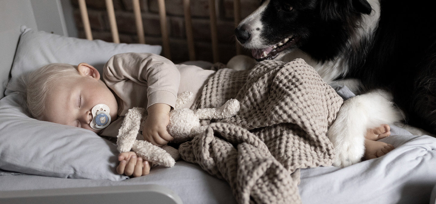 LOVI Dynamic Sílikon Snuð - Night&Day Boy 2 í boxi