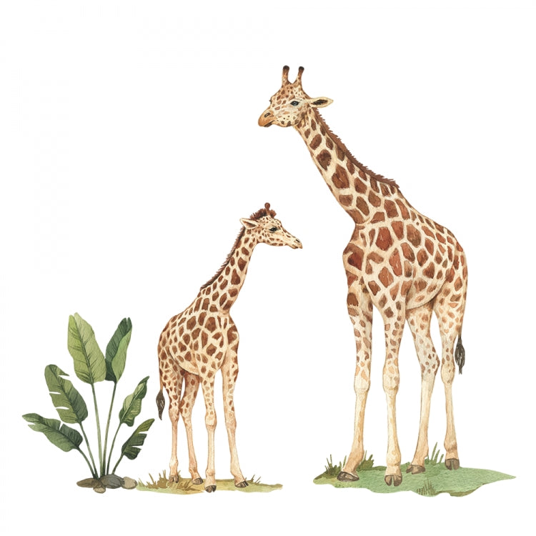 Vegglímmiði - Giraffes XL