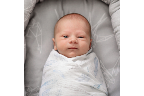 Bamboo Swaddle XL - Pink Dots