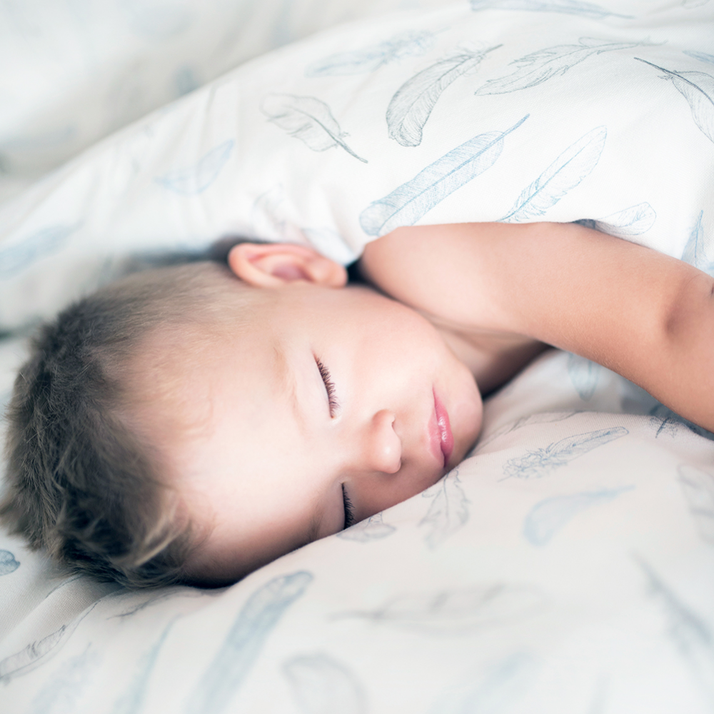 Sæng og koddi Sett úr bambus - Fawns