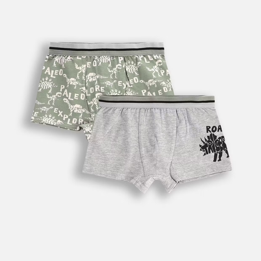 Boxer Nærbuxur - 2pcs - Dino