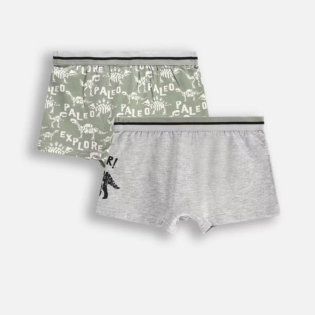 Boxer Nærbuxur - 2pcs - Dino