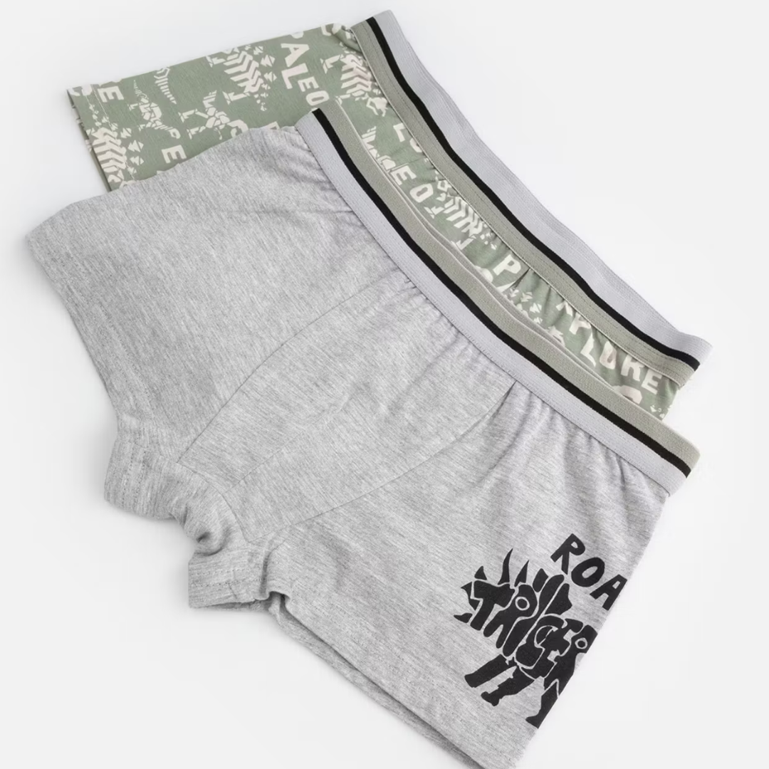 Boxer Nærbuxur - 2pcs - Dino