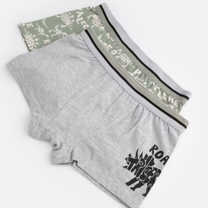 Boxer Nærbuxur - 2pcs - Dino