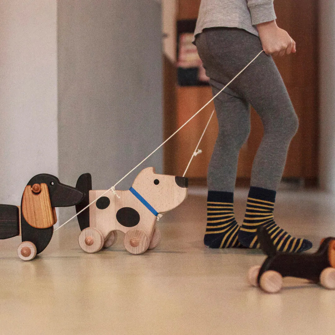MIGA Dog on Wheels