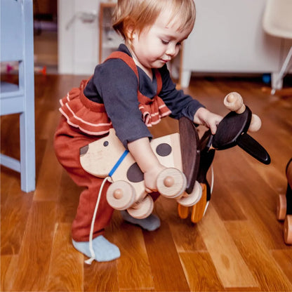 MIGA Dog on Wheels