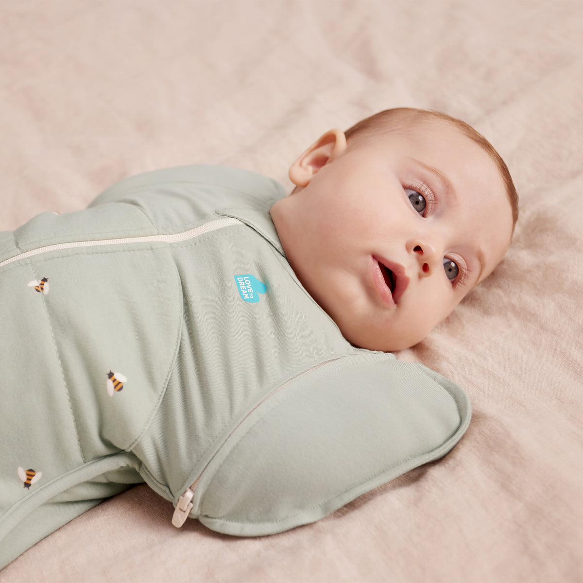 Love To Dream Swaddle Up Transition Bag - Olive Bees 2.5Tog