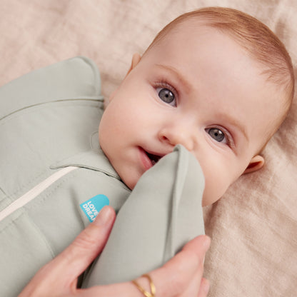 Love To Dream Swaddle Up Transition Bag - Olive Bees 2.5Tog