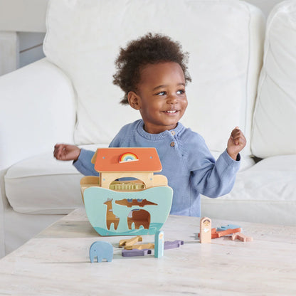 Noah's Ark Shape Sorter
