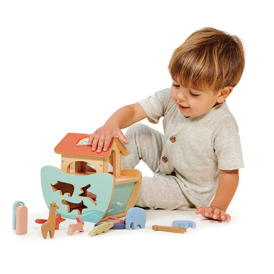 Noah's Ark Shape Sorter